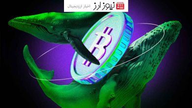 نهنگ‌های بیت کوین پس از تأیید ETFها، ۲۵۰,۰۰۰ واحد BTC خریدند