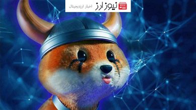 Bonk جایگاه Floki را در بازار تسخیر کرد!