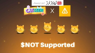 کتیزن با ادغام NOT و سوزاندن توکن، شاهد رشد چشمگیر و تعهد به اکوسیستم NOT است