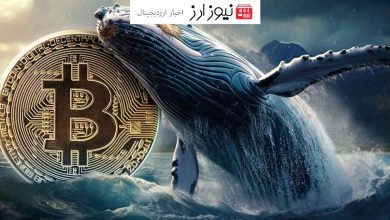 خبر خرید ۲,۵۰۰ بیت کوین توسط نهنگ معروف