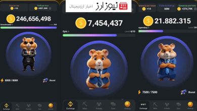 هشدار پلیس فتا درباره بازی همستر کامبت