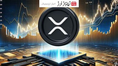 افزایش فعالیت در شبکه XRP با بهبود بازار در سال ۲۰۲۴