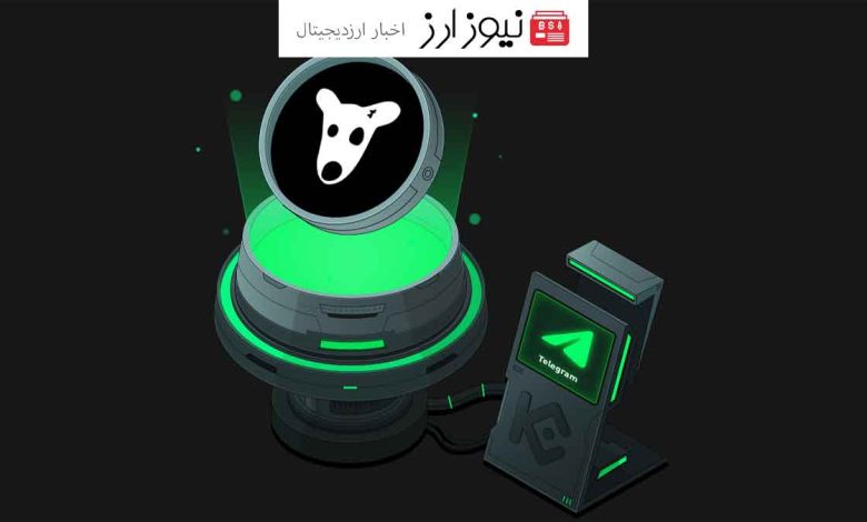 اقدامات جدی تیم داگز برای مقابله با تقلب در ایردراپ و حفظ عدالت در توزیع پاداش‌ها