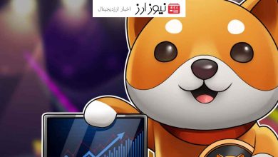 رشد 50 درصدی بیبی دوج (BABYDOGE)