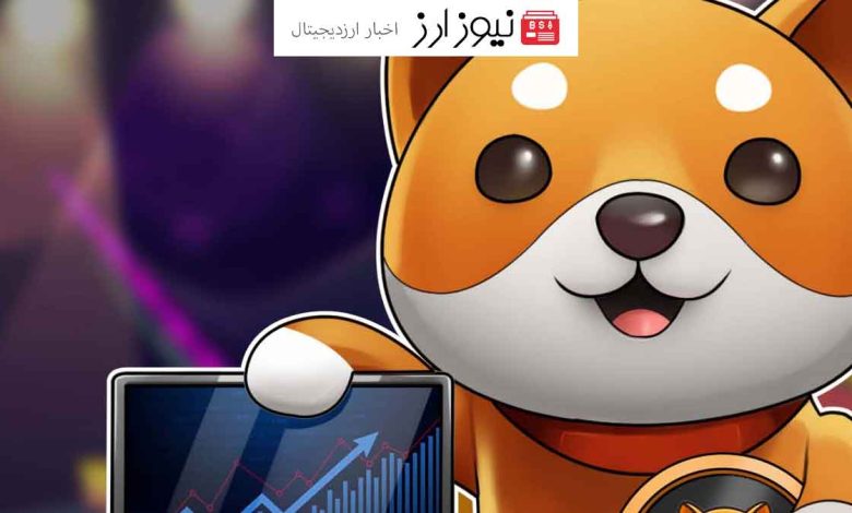 رشد 50 درصدی بیبی دوج (BABYDOGE)