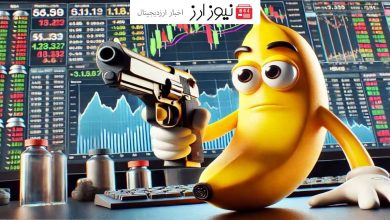 حمله هکرها به ربات Banana Gun