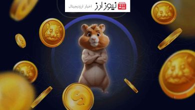 هشدار فوری: کلاهبرداری در بازار همستر کامبت؛ از ربات‌های تلگرامی جعلی دوری کنید!