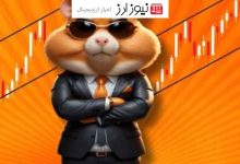 قیمت همستر کامبت امروز ۲۹ شهریور به تومان و دلار (بازار پیش از عرضه)