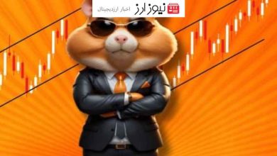 قیمت همستر کامبت امروز ۲۹ شهریور به تومان و دلار (بازار پیش از عرضه)