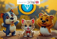 قیمت کتیزن مشخص شد هر (Cati) تقریبا 1 دلار