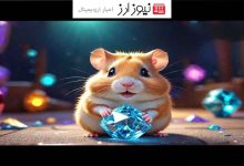 همستر کامبت برای سال 2025 چه برنامه ای دارد!