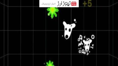 اطلاعیه جدید بلوم: همه کاربران توکن داگز را در Drop Game دریافت نمی‌کنند!