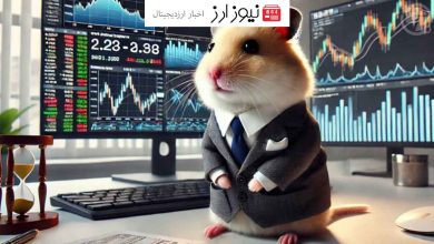 همستر کامبت آدرس ذخایر HMSTR را منتشر کرد