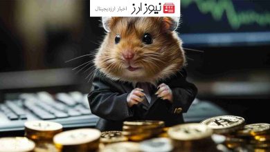 تحلیل همستر کامبت؛ چرا قیمت HMSTR رشد نمی‌کند!