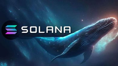 Solana and XRP whales in the frenzy of buying new altcoins!