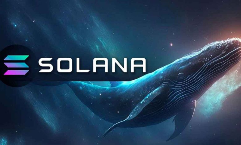 Solana and XRP whales in the frenzy of buying new altcoins!