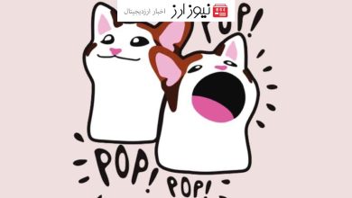 صعود میم کوین POPCAT به رتبه 52 کوین مارکت کپ و پنجمین میم کوین بازار