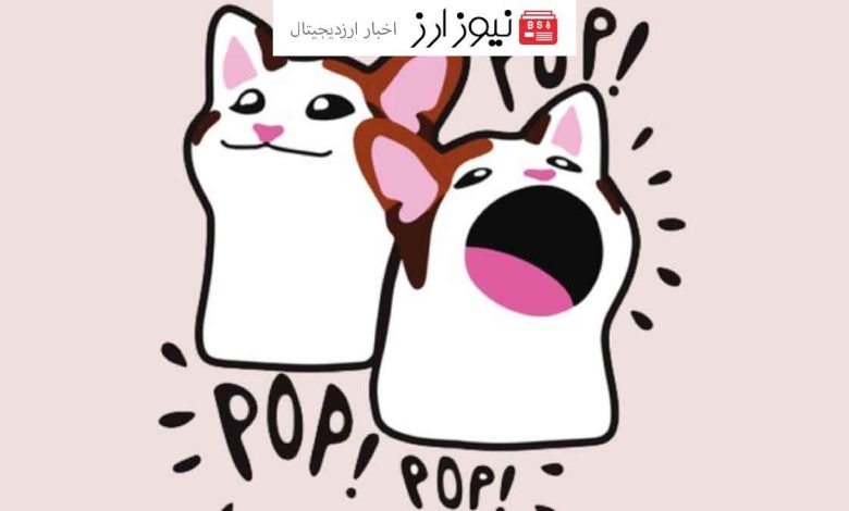 صعود میم کوین POPCAT به رتبه 52 کوین مارکت کپ و پنجمین میم کوین بازار