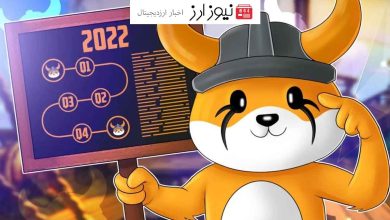 جهش قیمت فلوکی به بالاترین سطح ۴ ماه اخیر پس از پذیرش در کوین‌بیس