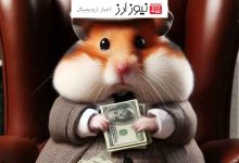 رشد قیمت همستر کامبت: افزایش ۴۰ درصدی HMSTR طی ۶ ساعت اخیر