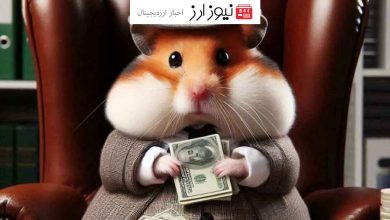 رشد قیمت همستر کامبت: افزایش ۴۰ درصدی HMSTR طی ۶ ساعت اخیر