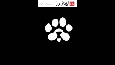 زمان لیستینگ توکن پاز PAWS$ اعلام شد!