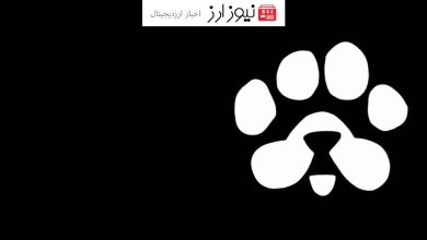 رشد چشمگیر پروژه پاز (PAWS): 25 میلیون کاربر فعال