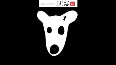 علت رشد نکردن توکن داگز (DOGS) نسبت به رشد همستر کامبت