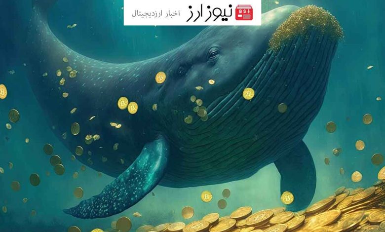 حرکت مجدد نهنگ مرموز بیت کوین از دوران ساتوشی