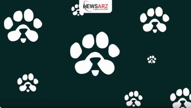 نحوه دریافت توکن پاز PAWS$ و بررسی شرایط ایردراپ پروژه PAWS