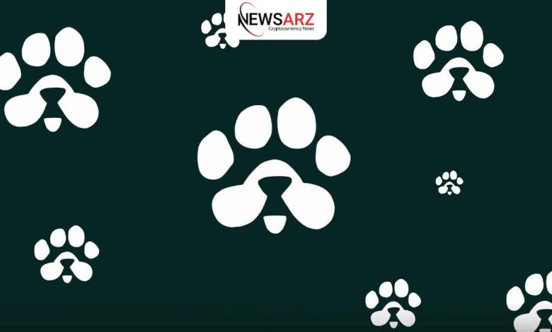 نحوه دریافت توکن پاز PAWS$ و بررسی شرایط ایردراپ پروژه PAWS