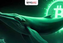 نقش نهنگ‌ها در بازار بیت کوین؛ چرا قیمت افزایش نمی‌یابد؟
